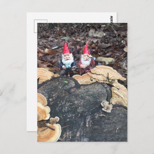 Carte Postale Les champignons (Devant / Derrière)