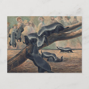 Carte Postale Les châteaux de Joseph Wolf