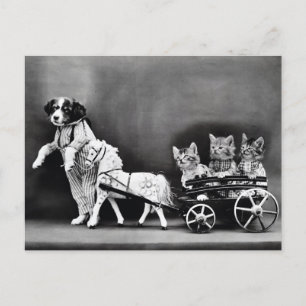 Carte Postale Les chatons dans un chariot