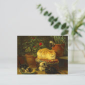 Carte Postale Les chatons en jeu (Debout devant)