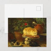 Carte Postale Les chatons en jeu (Devant / Derrière)