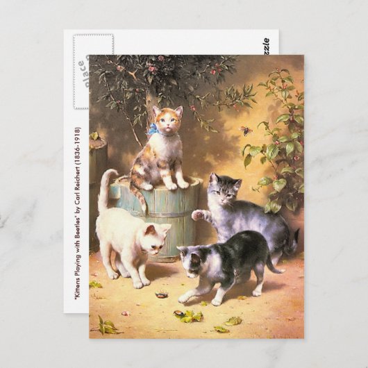 Carte postale : "Les chatons jouent avec les coléo (Devant / Derrière)