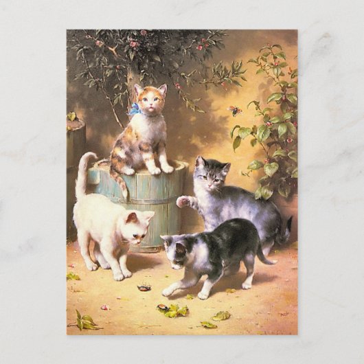 Carte postale : "Les chatons jouent avec les coléo (Devant)