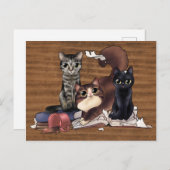 Carte Postale Les chats de l'écrivain (Devant / Derrière)