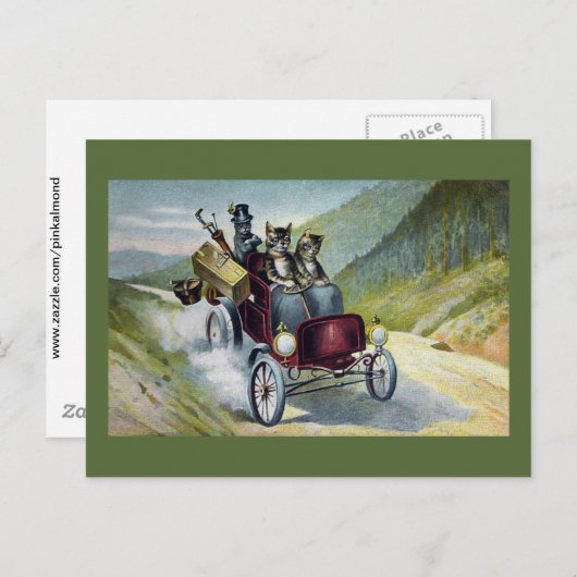 Carte Postale Les chats en vacances dans les Catskill (Devant / Derrière)