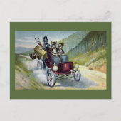 Carte Postale Les chats en vacances dans les Catskill (Devant)