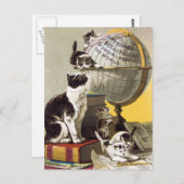 Carte Postale Les chats et le monde (Devant / Derrière)