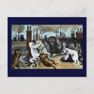 Carte Postale Les chats le font sortir sur le toit