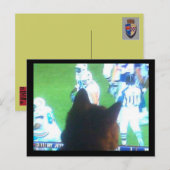 Carte Postale les chats ont besoin d'une quantité folle de télé  (Devant / Derrière)