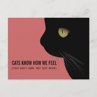 Carte Postale Les Chats savent comment nous ressentons drôle car