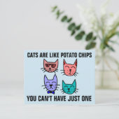 CARTE POSTALE LES CHATS SONT COMME DES CHAUSSURES DE POMME DE TE (Debout devant)