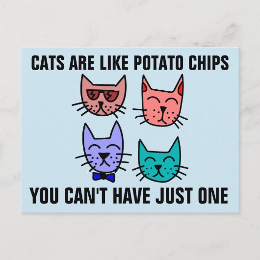 CARTE POSTALE LES CHATS SONT COMME DES CHAUSSURES DE POMME DE TE (Devant)