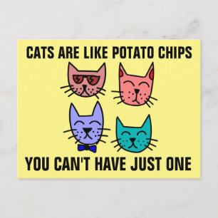 CARTE POSTALE LES CHATS SONT COMME DES CHAUSSURES DE POMME DE TE
