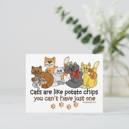 Carte Postale Les chats sont comme des chips (Debout devant)