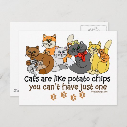 Carte Postale Les chats sont comme des chips (Devant / Derrière)