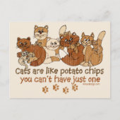 Carte Postale Les chats sont comme des chips (Devant)