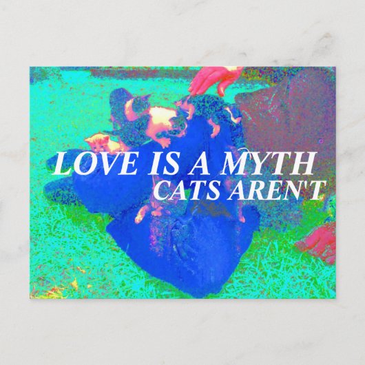 Carte Postale les chats sont réels (Devant)