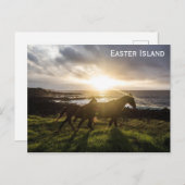 Carte Postale Les Chevaux de l'île de Pâques (Devant / Derrière)