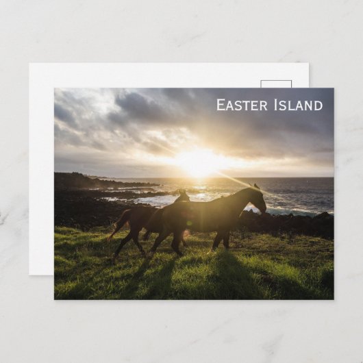 Carte Postale Les Chevaux de l'île de Pâques (Devant / Derrière)
