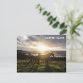 Carte Postale Les Chevaux de l'île de Pâques (Debout devant)