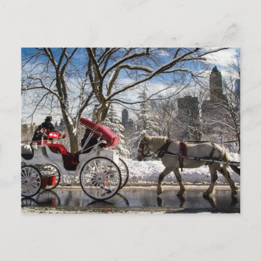 Carte Postale Les chevaux d'hiver à Central Park (Devant)