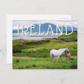 Carte Postale Les Chevaux du Connemara | Galway, Irlande (Devant / Derrière)