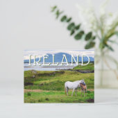 Carte Postale Les Chevaux du Connemara | Galway, Irlande (Debout devant)