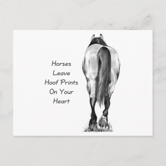 Carte Postale Les Chevaux Laissent Des Empreintes Hoofprint Sur (Devant)