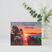 Carte Postale Les chevaux sont des anges sans ailes (Debout devant)