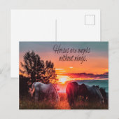 Carte Postale Les chevaux sont des anges sans ailes (Devant / Derrière)