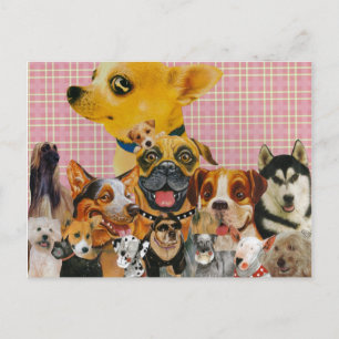 Carte Postale Les chiens sont amusants