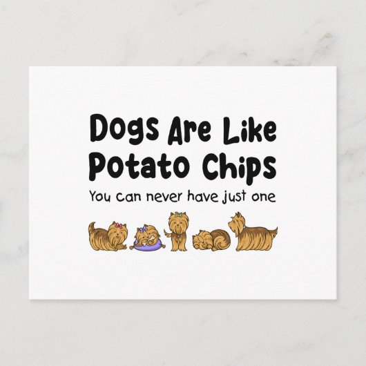 Carte Postale Les Chiens Yorki Sont Comme Des Chips De Pomme De  (Devant)