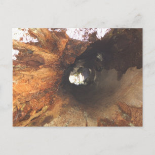 Carte Postale Les Choses Sont Serrées