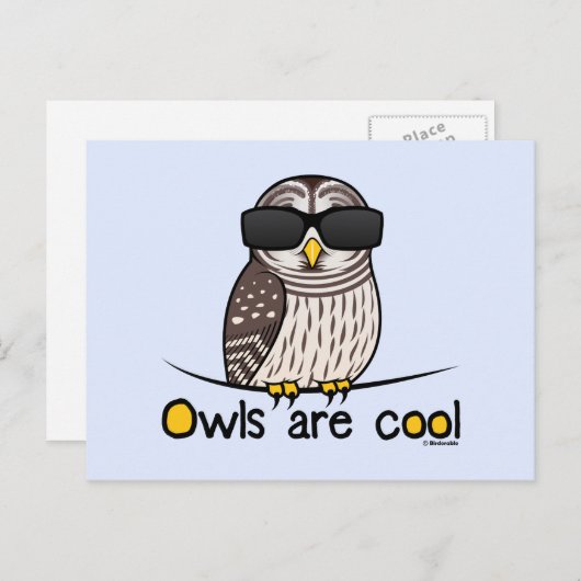 Carte Postale Les chouettes sont cool (Devant / Derrière)