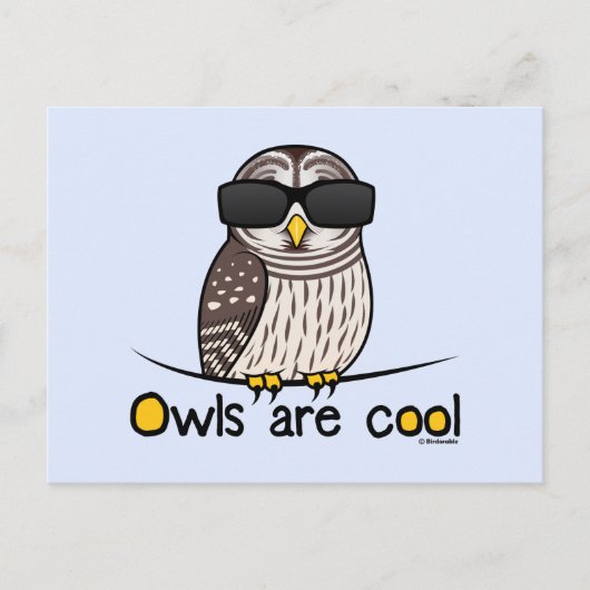 Carte Postale Les chouettes sont cool (Devant)