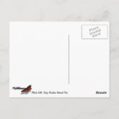 Carte Postale Les chutes de l'Alberta à l'automne dans les Roche (Dos)