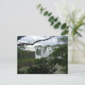 Carte Postale Les chutes d'Iguaçu Argentine (Debout devant)