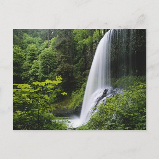 Carte Postale Les chutes Middle North, Silver Falls State Park, (Devant)