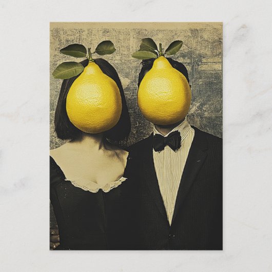 Carte Postale Les citronniers (Devant)