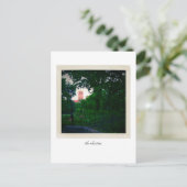 Carte Postale Les Cloîtres (Debout devant)