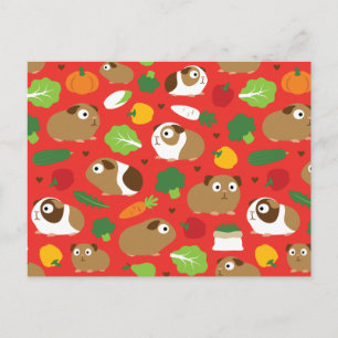 Carte Postale Les Cochons De Guinée Et Leurs Traitements