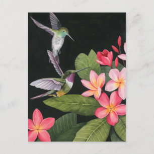 Carte Postale Les colibris de la Plumeria