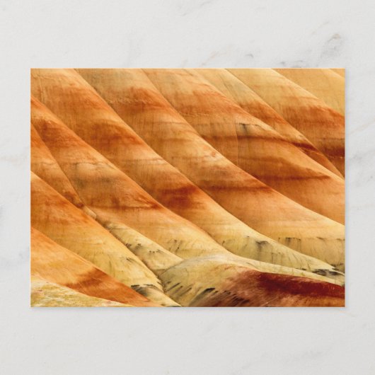 Carte Postale Les collines peintes dans les lits de fossiles de  (Devant)