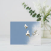 Carte Postale Les colombes blanches volantes (Debout devant)