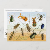 Carte Postale Les coloriés (Devant / Derrière)