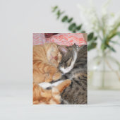 Carte Postale Les copains (Debout devant)