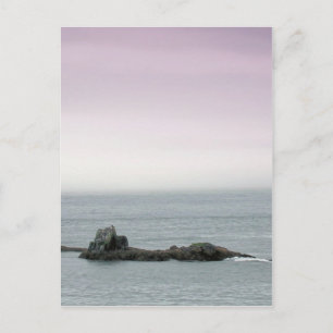 Carte Postale Les côtes du Maine