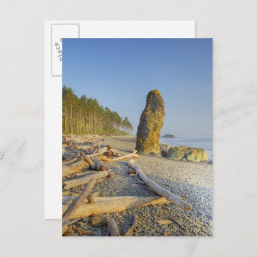 Carte Postale Les côtes et les côtes, Ruby Beach, Olympic (Devant / Derrière)