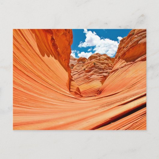 Carte Postale Les couleurs de la vague (Devant)