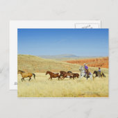 Carte Postale Les cow-boys élevant des chevaux (Devant / Derrière)